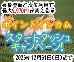 ポイントインカムTOP