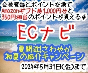 ECナビ